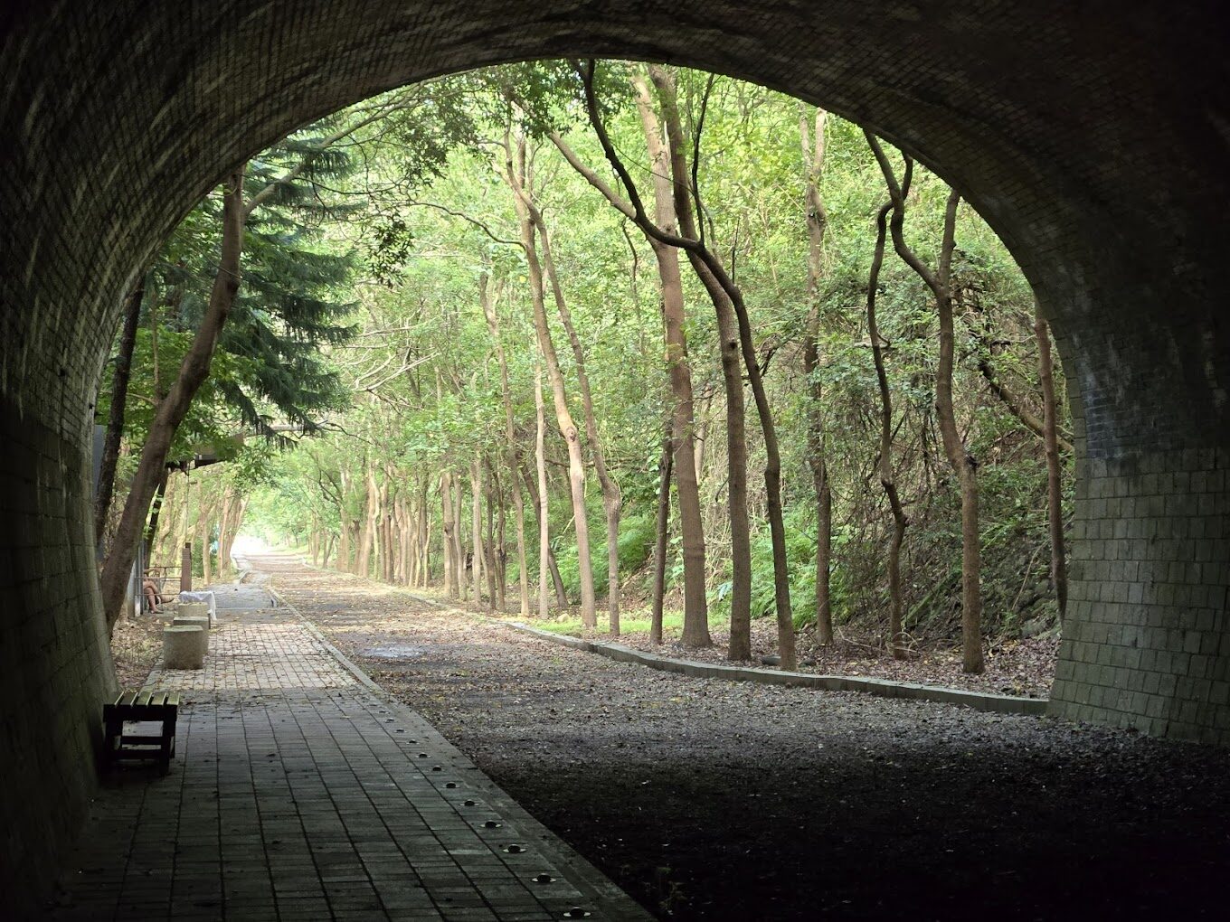 苗栗景點必去推薦｜你絕對不能錯過的迷人景點