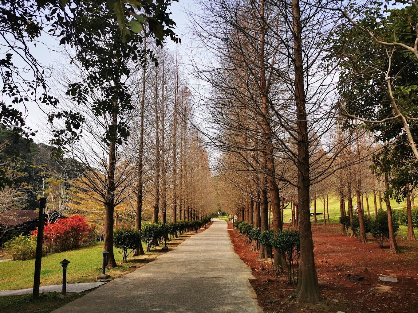 2025新竹必訪景點：不容錯過的自然與文化秘境