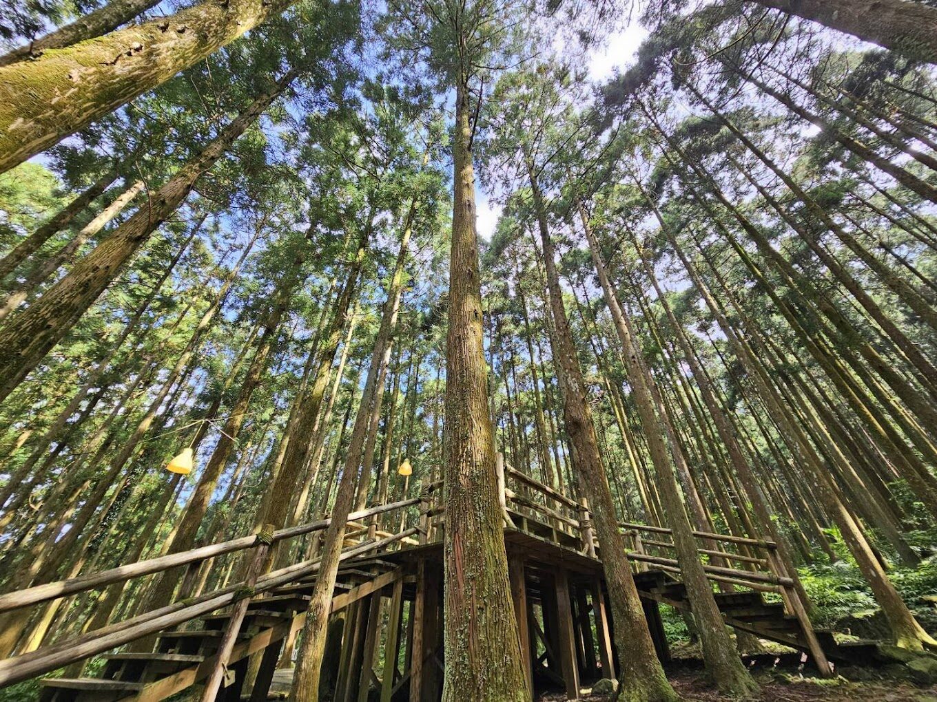 2025新竹必訪景點：不容錯過的自然與文化秘境