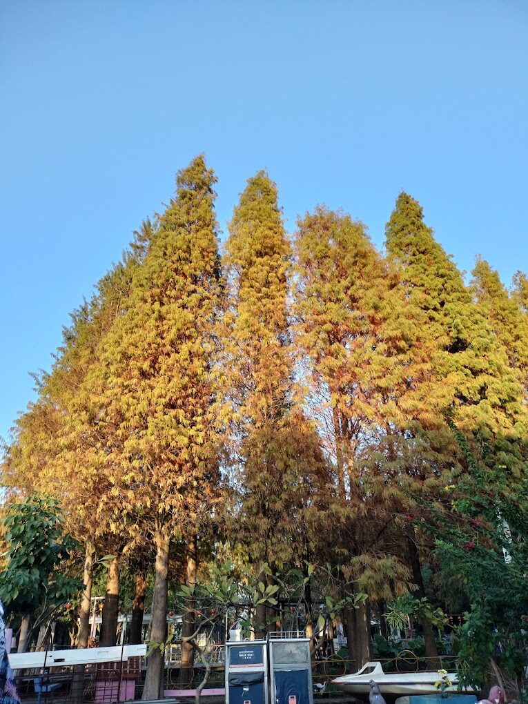 【2025年】彰化景點不容錯過的5個隱藏版好去處！