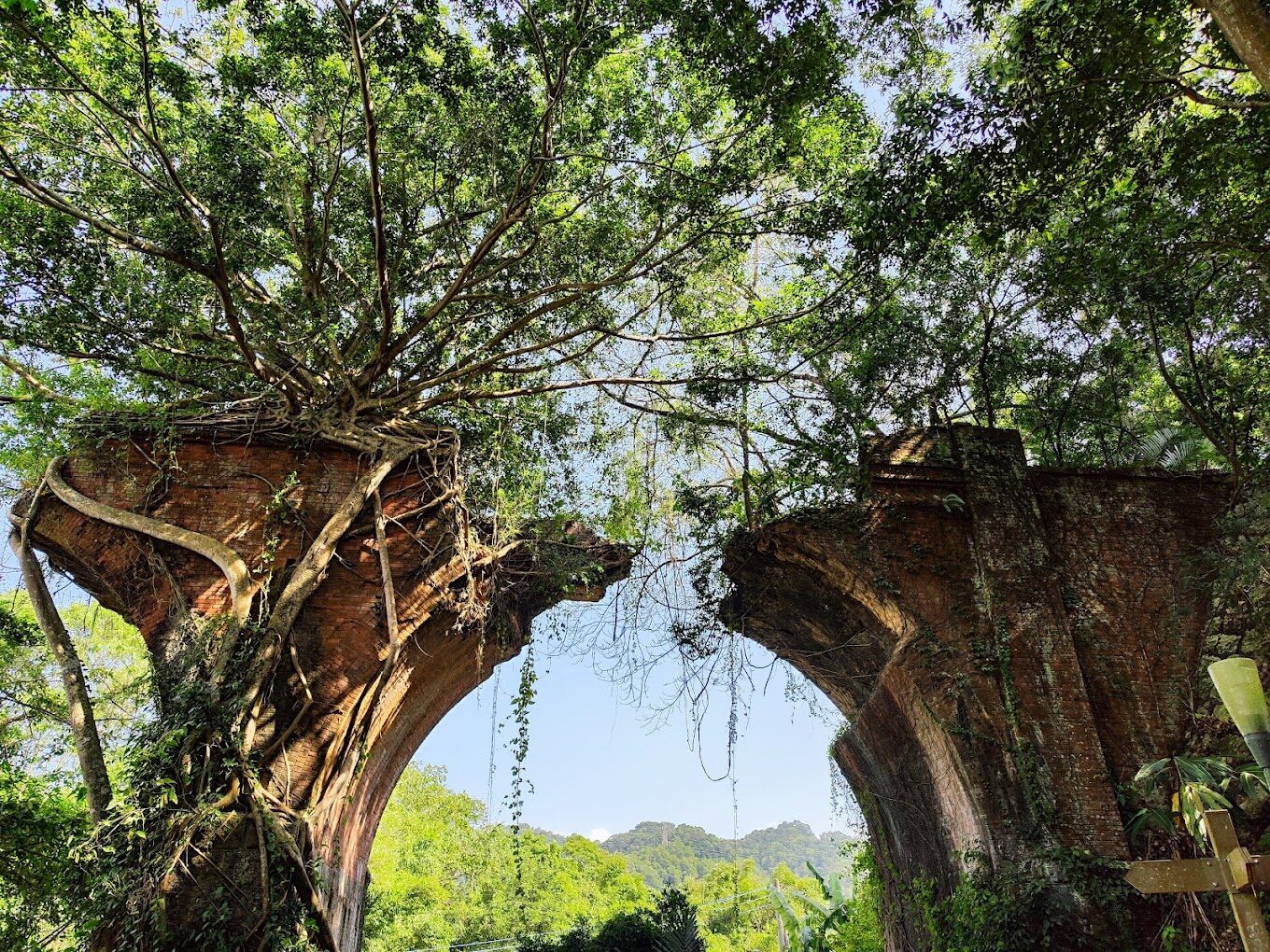 2025苗栗景點不踩雷清單｜必去的5個秘境與絕美景色！