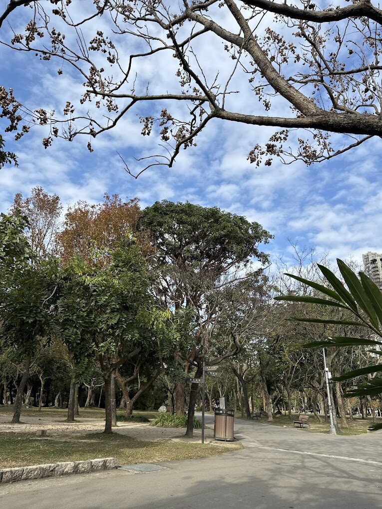 台北散心好去處：大安森林公園漫步攻略
