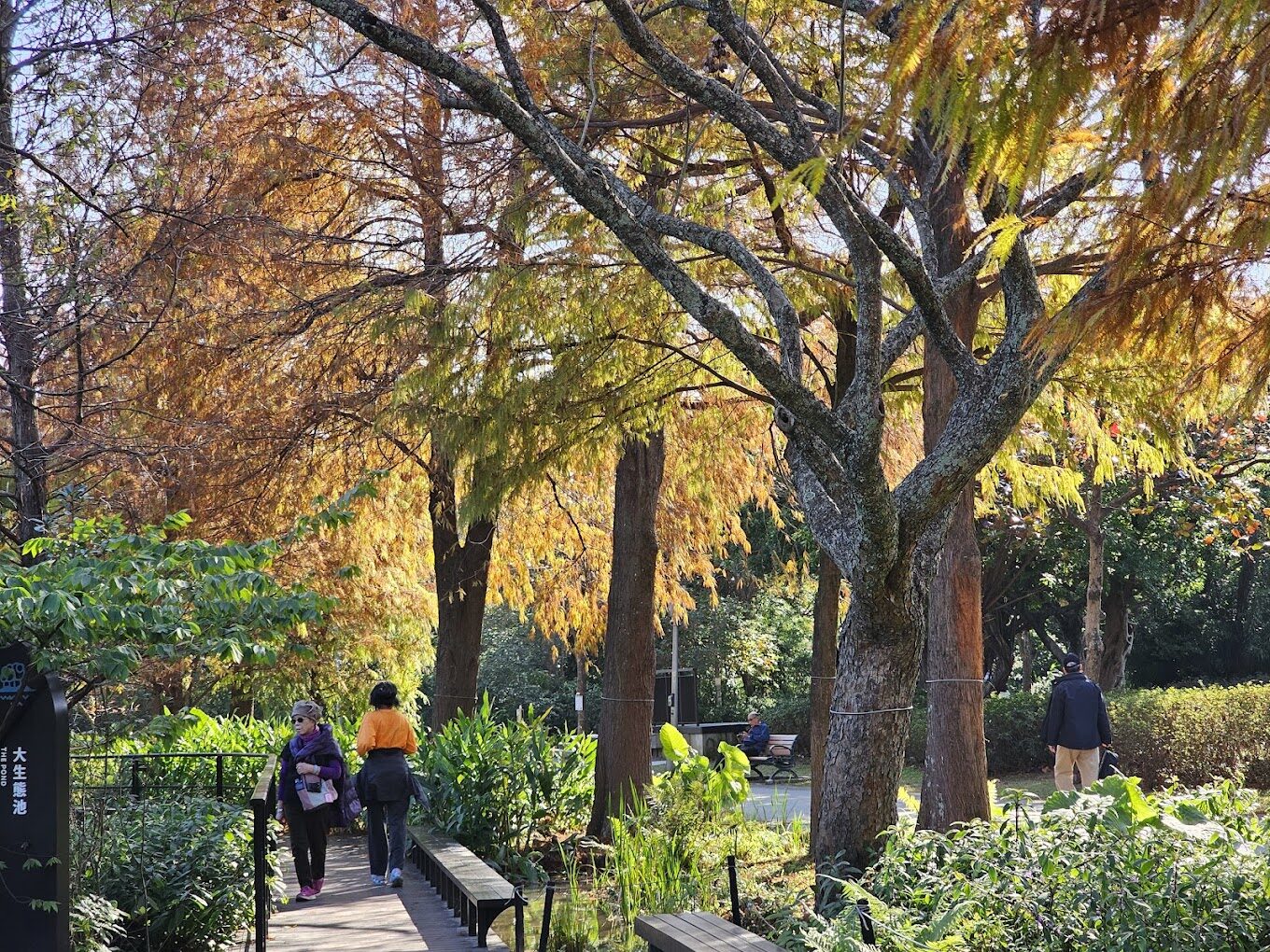 台北散心好去處：大安森林公園漫步攻略