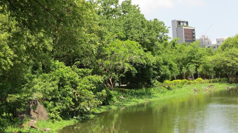 台北散心好去處：大安森林公園漫步攻略