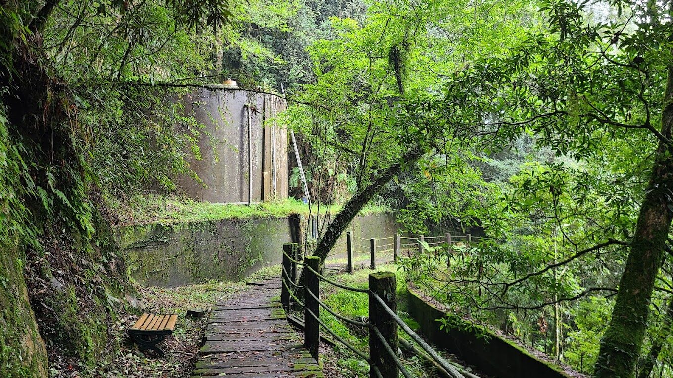 2025年杉林溪花季最佳觀賞時間與秘訣