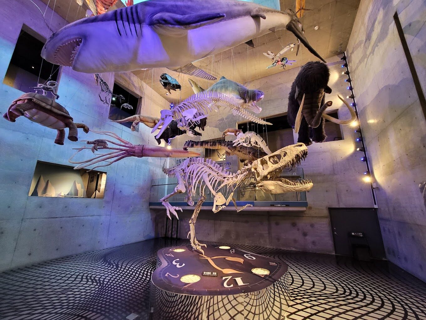 左鎮化石園區導覽：必看的展品和活動介紹