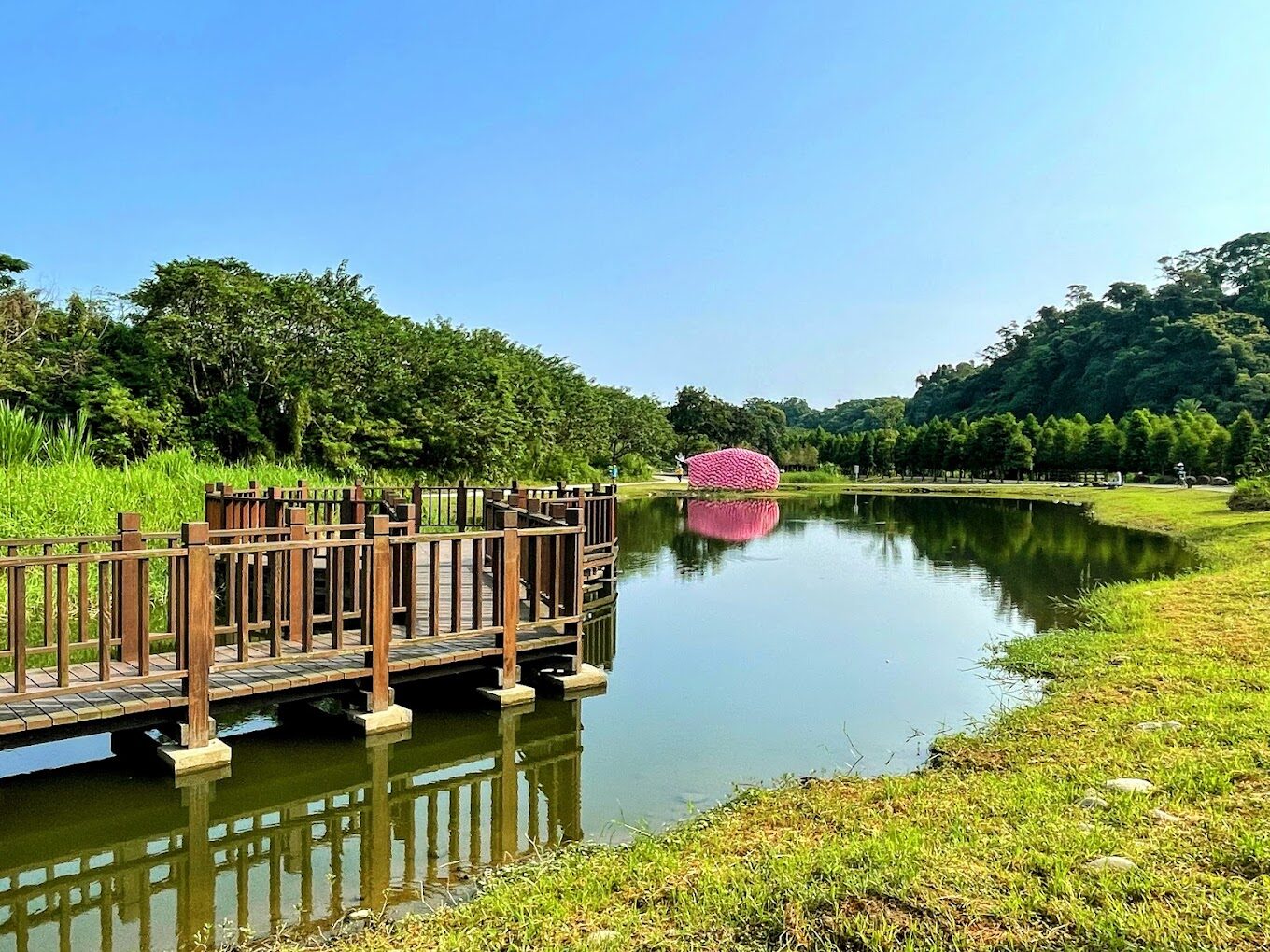 月眉人工濕地生態公園公車一日遊攻略：必看景點與最佳交通指南