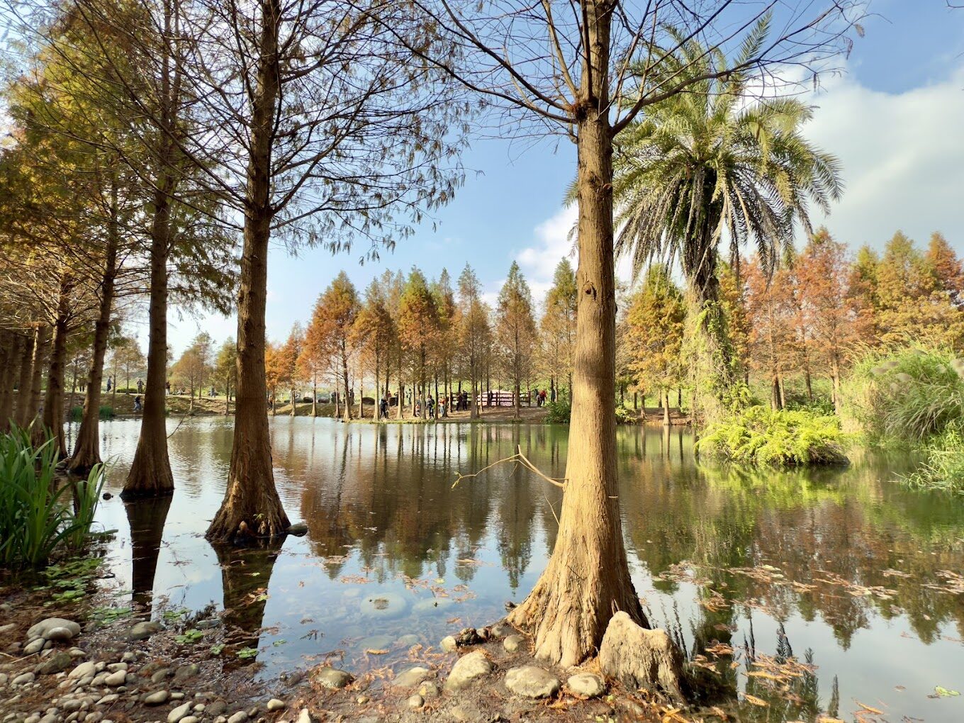 月眉人工濕地生態公園公車一日遊攻略：必看景點與最佳交通指南