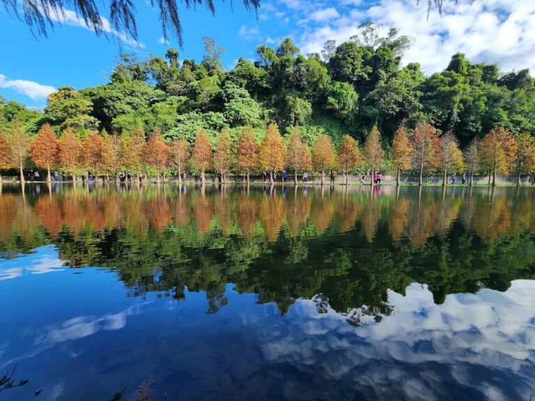 月眉人工濕地生態公園公車一日遊攻略：必看景點與最佳交通指南
