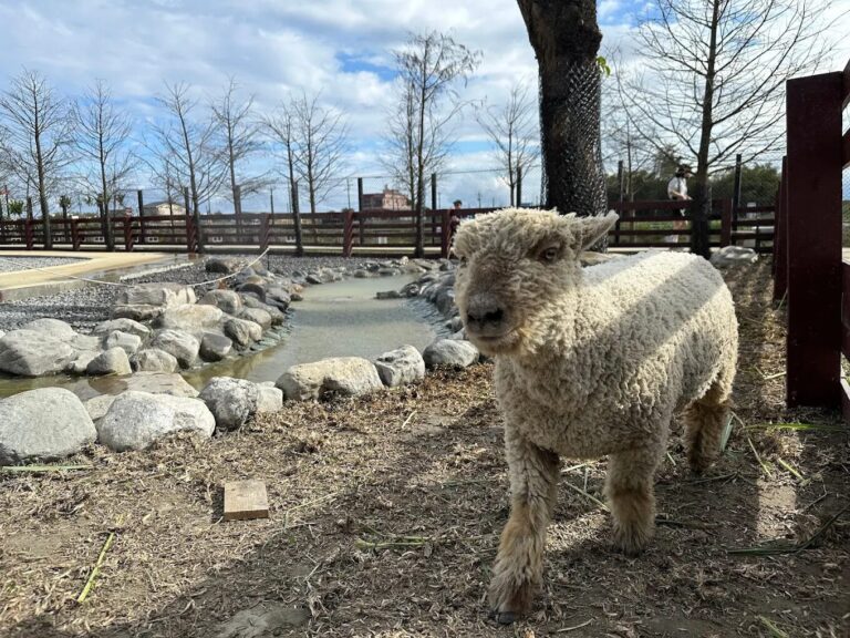 蘭陽動植物王國最佳參觀路線：制定完美的旅遊計劃