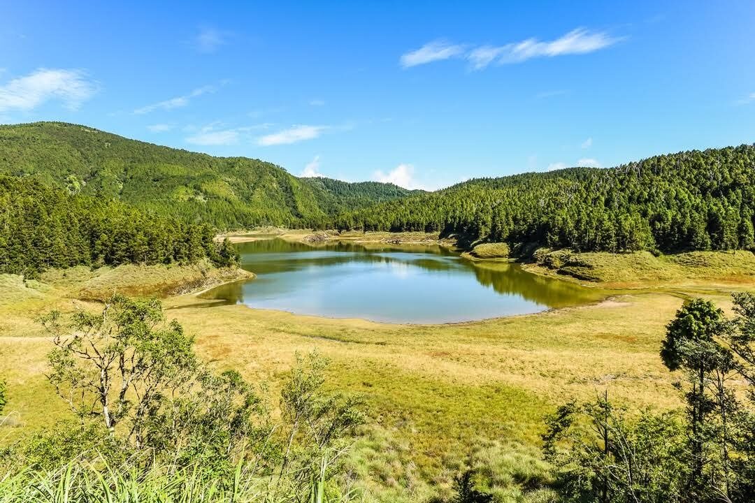 宜蘭必去景點：太平山國家森林遊樂區——自然愛好者的理想目的地