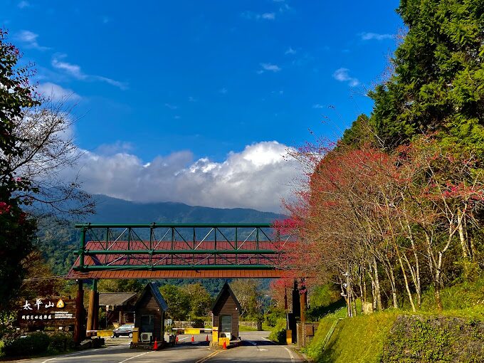 宜蘭必去景點：太平山國家森林遊樂區——自然愛好者的理想目的地