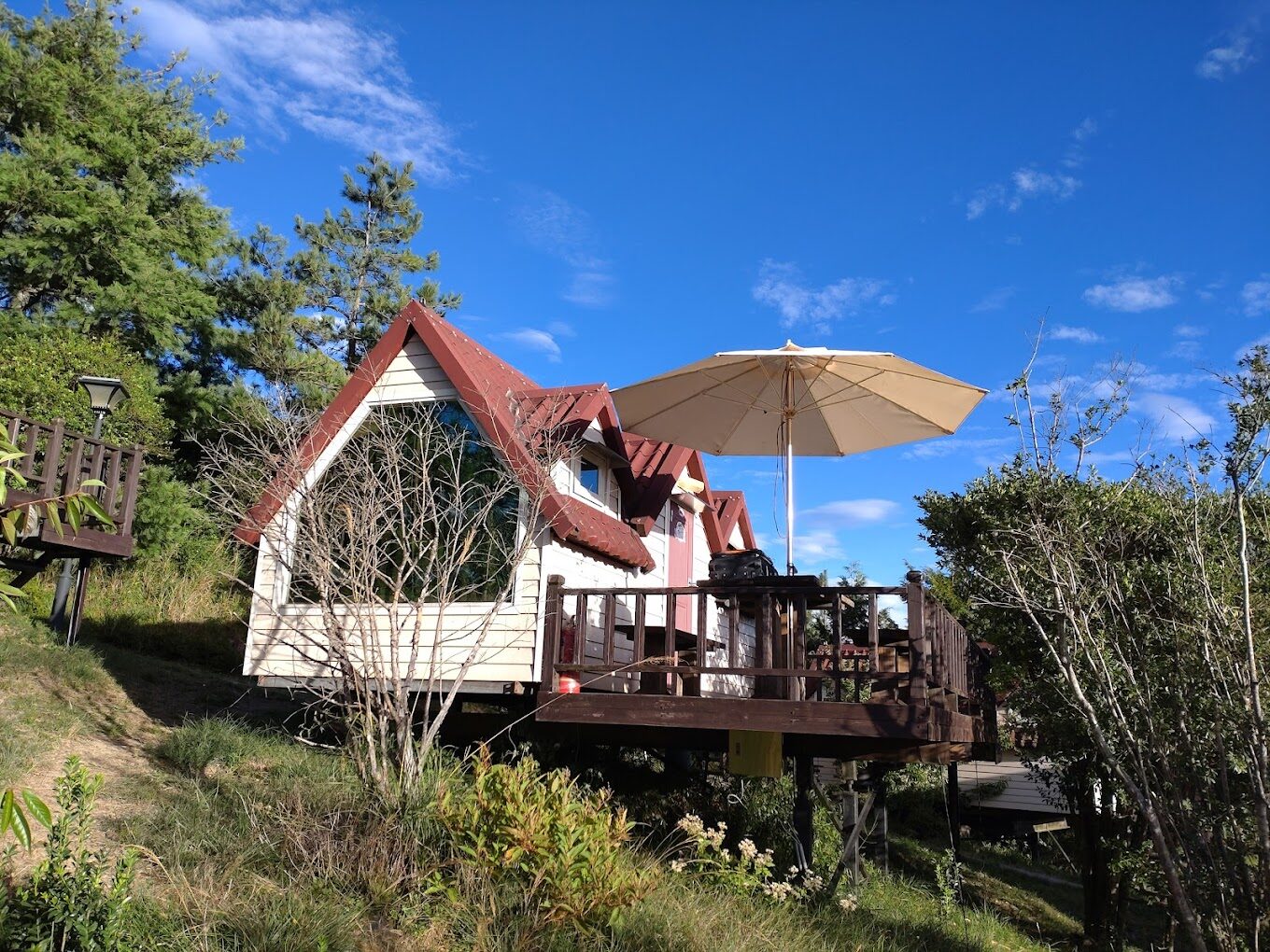 宜蘭必去景點：太平山國家森林遊樂區——自然愛好者的理想目的地