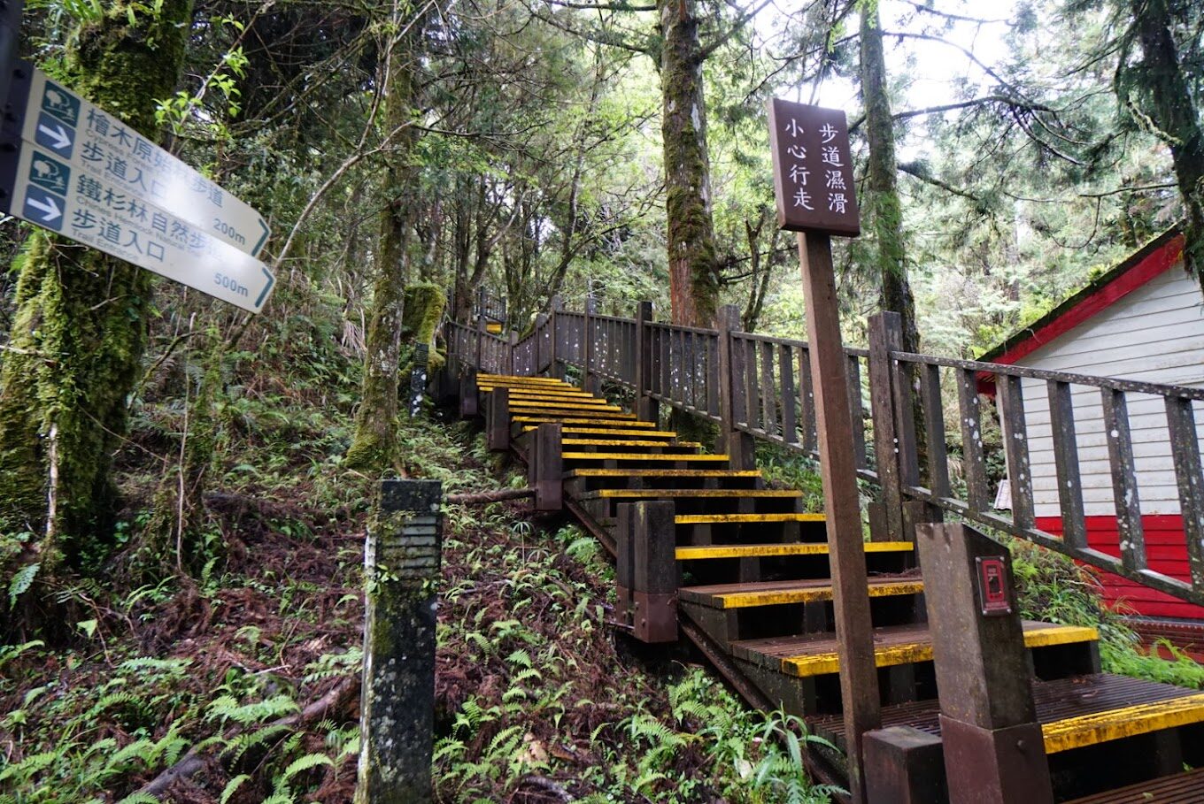 宜蘭必去景點：太平山國家森林遊樂區——自然愛好者的理想目的地