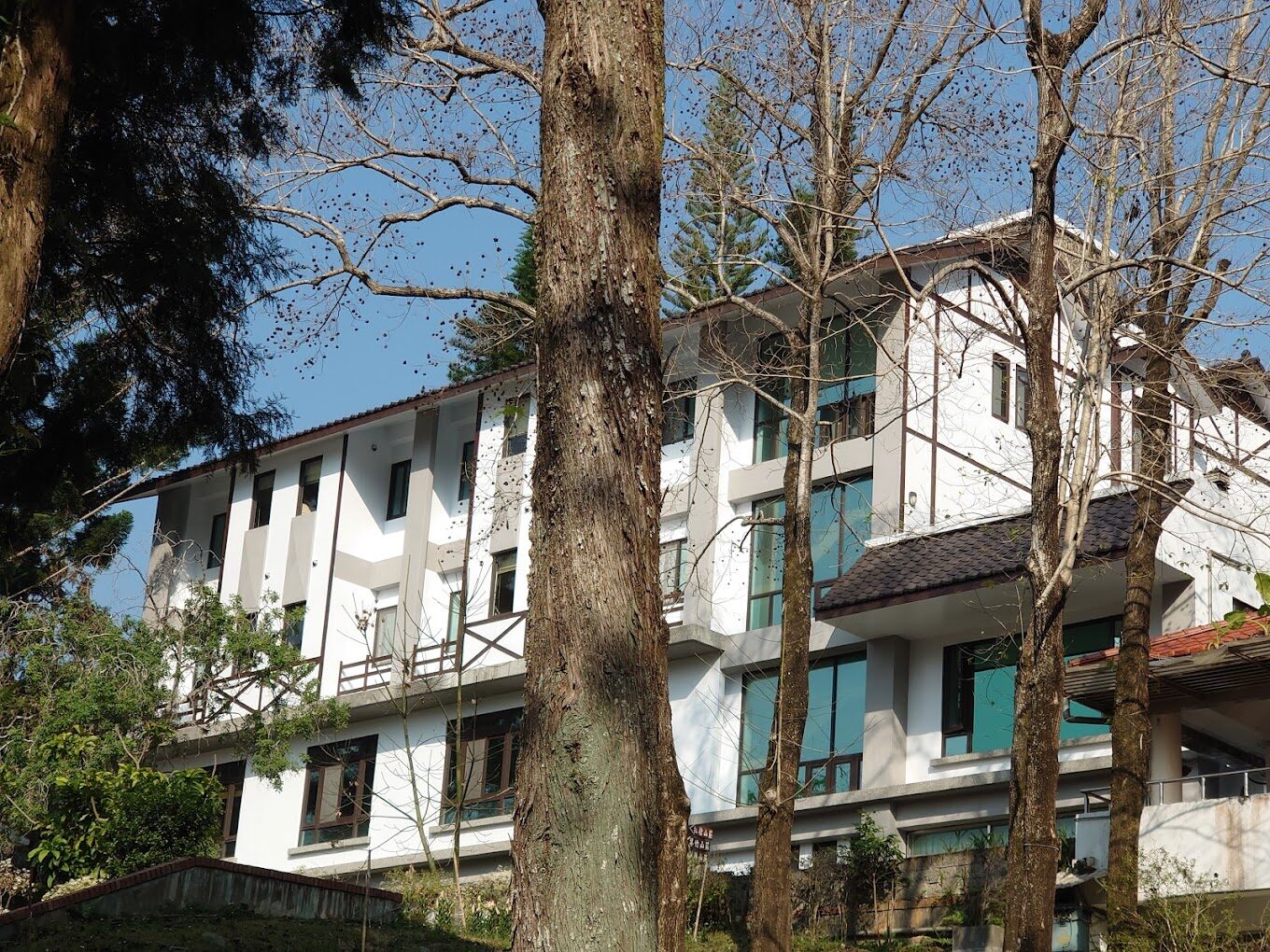 苗栗景點：鯉魚潭賞櫻攻略