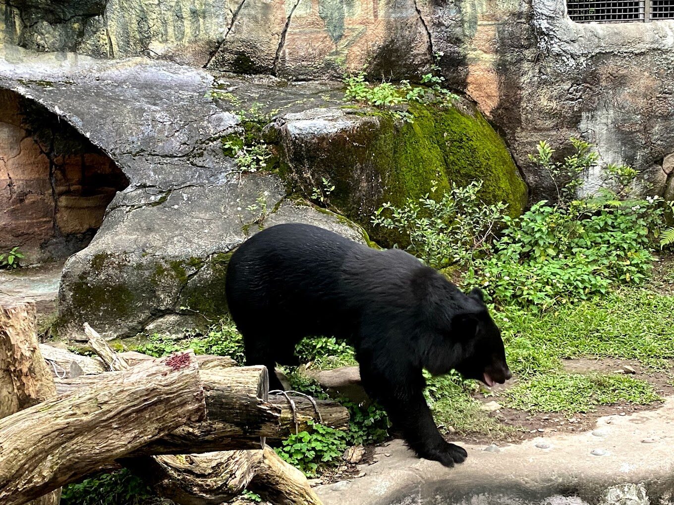北部親子景點: 台北親子一日遊推薦 - 探索最佳家庭景點
