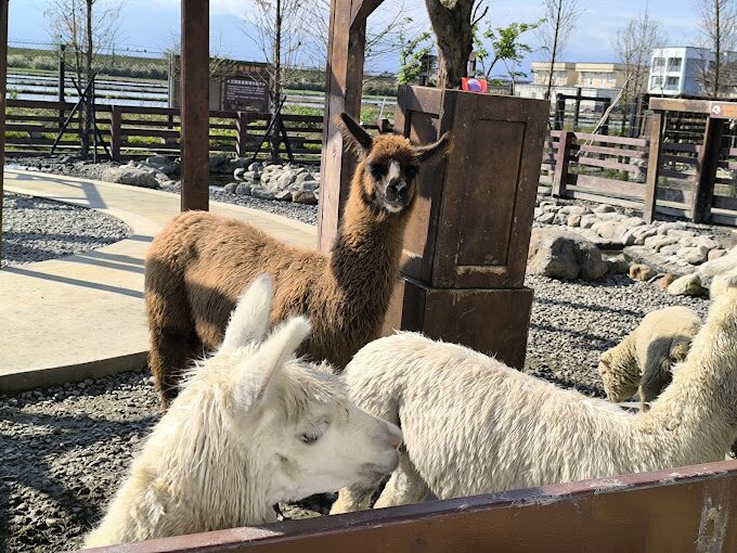 蘭陽動植物王國旅遊指南：最受歡迎的景點與路線建議