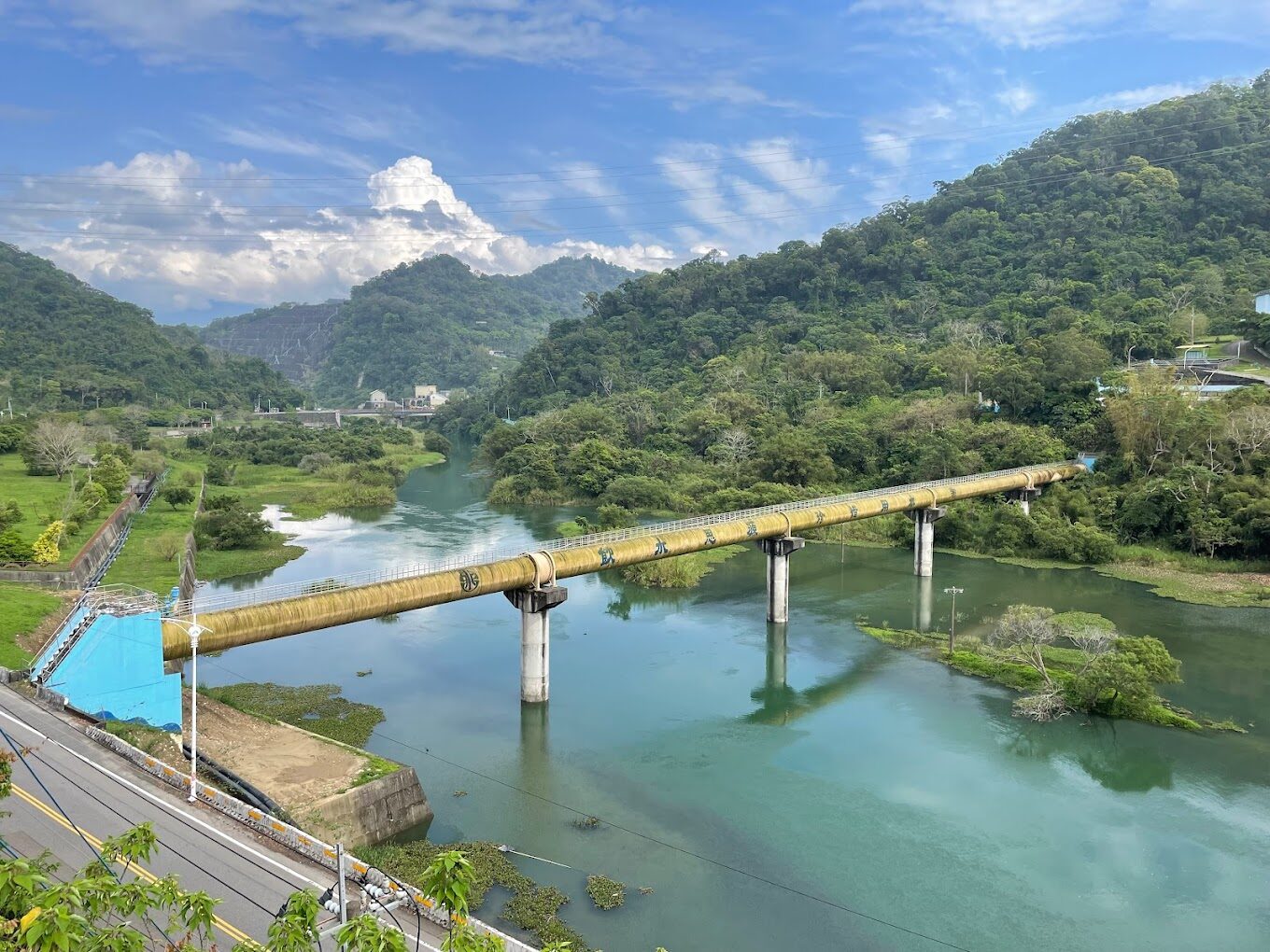 苗栗鐵道自行車必備指南：如何預訂和遊玩