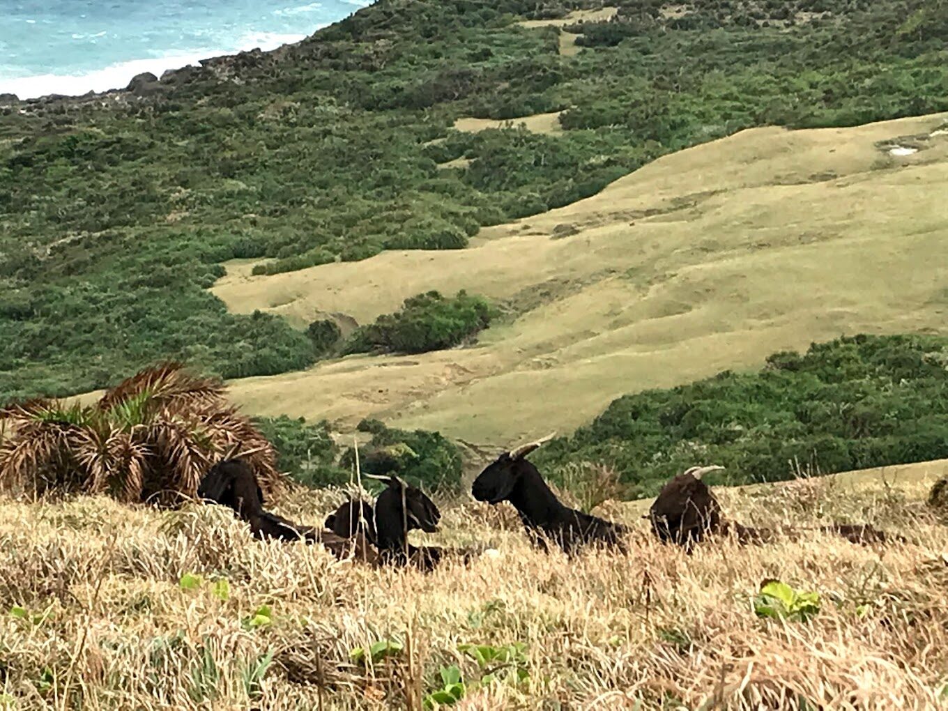 屏東景點：揭開墾丁國家公園的隱藏美景，一日遊最佳路線