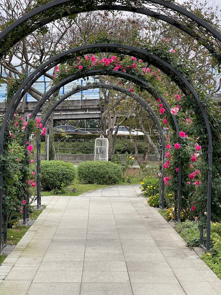 台北玫瑰園最佳觀賞時間與門票攻略