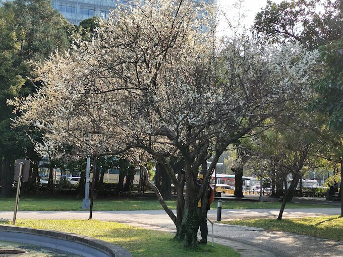 榮星花園必遊景點推薦|台北市內的綠意秘境