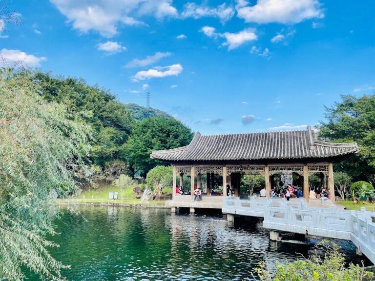 2025士林景點懶人包｜絕不容錯過的5個熱門打卡點