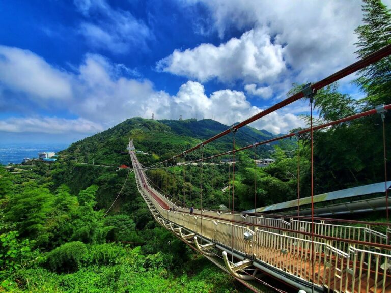 【2025】嘉義梅山必去景點：探索自然秘境與在地美食的5大理由