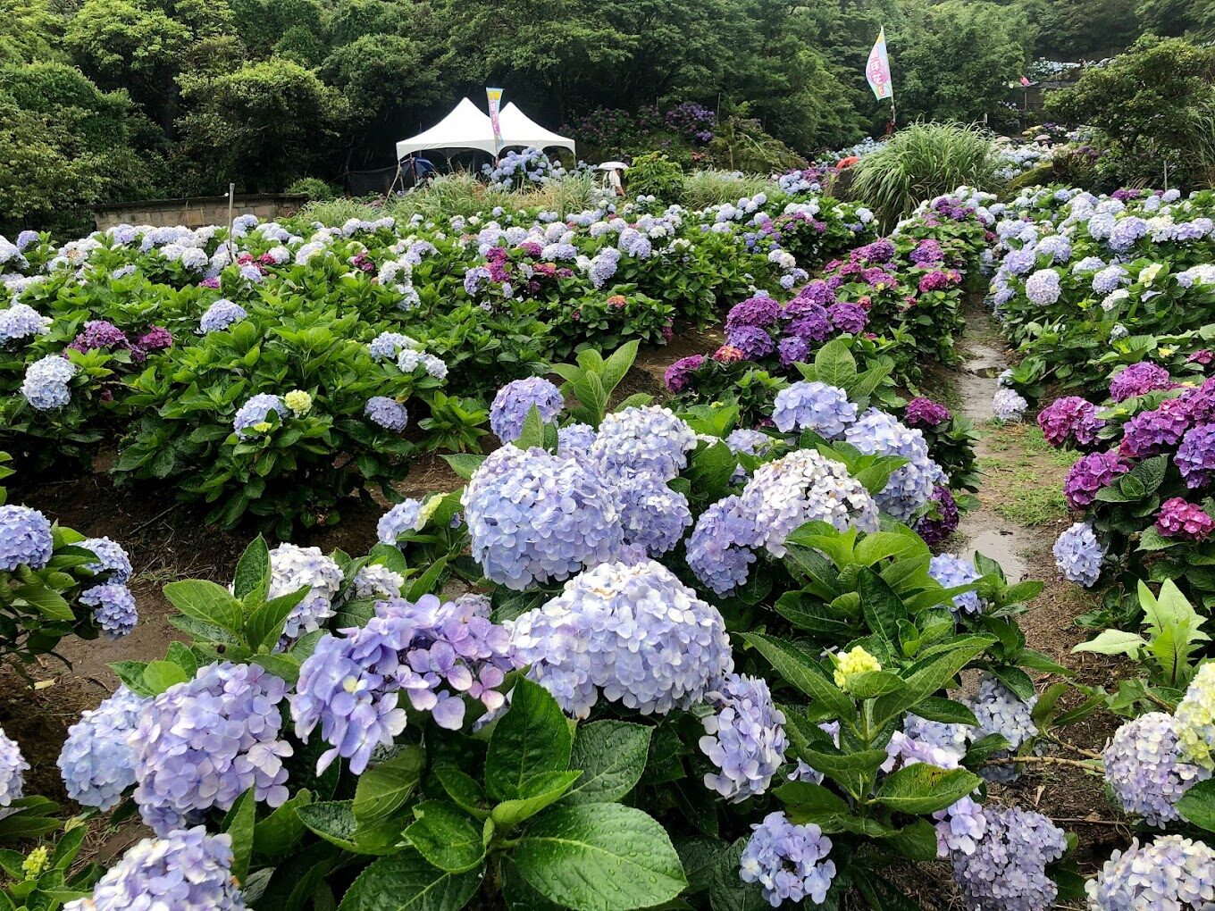 2025台北市觀光景點|旅遊達人帶你發掘不為人知的美景
