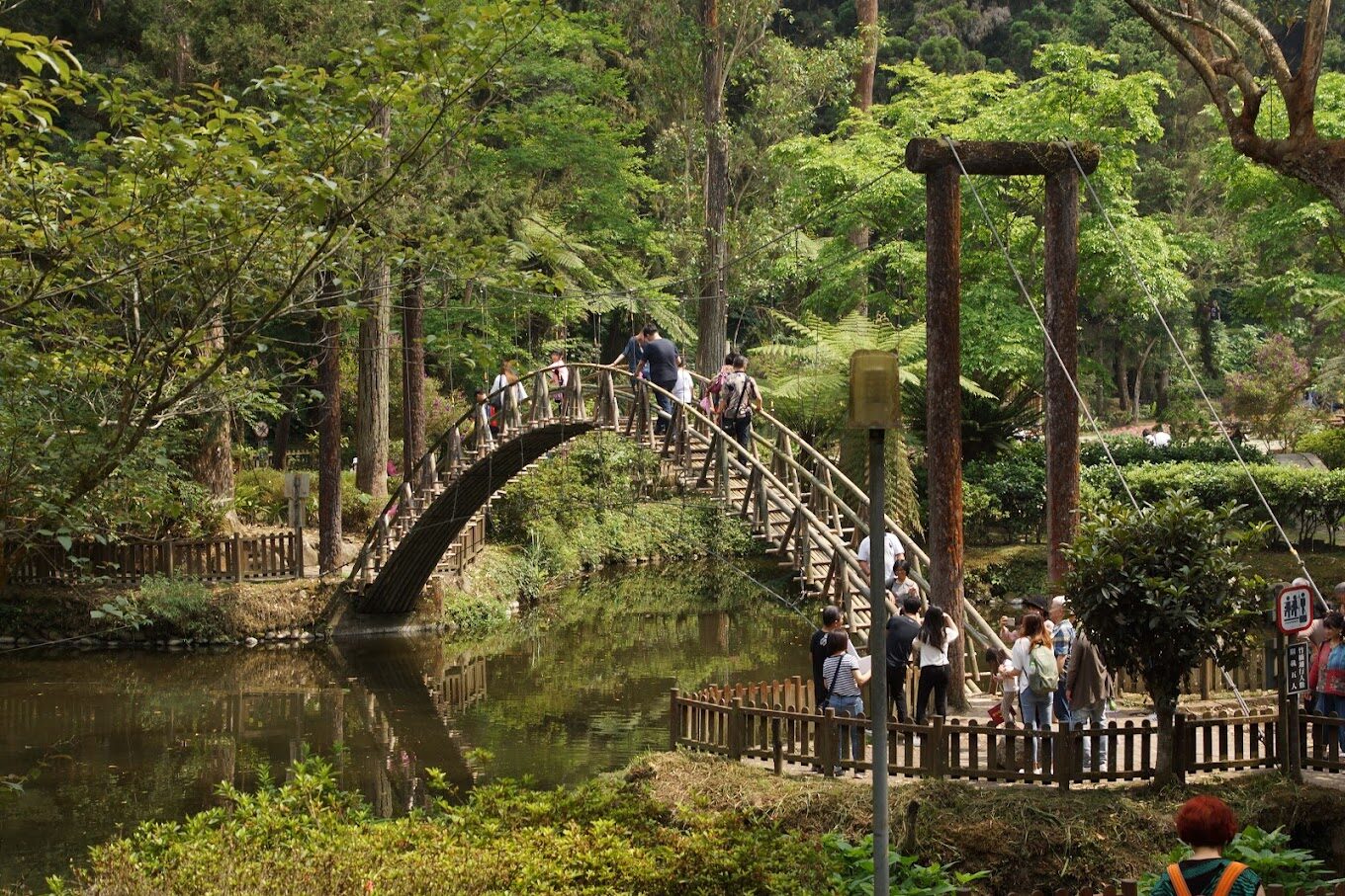 溪頭國家森林遊樂區旅遊懶人包｜5個必訪景點及在地美食推薦