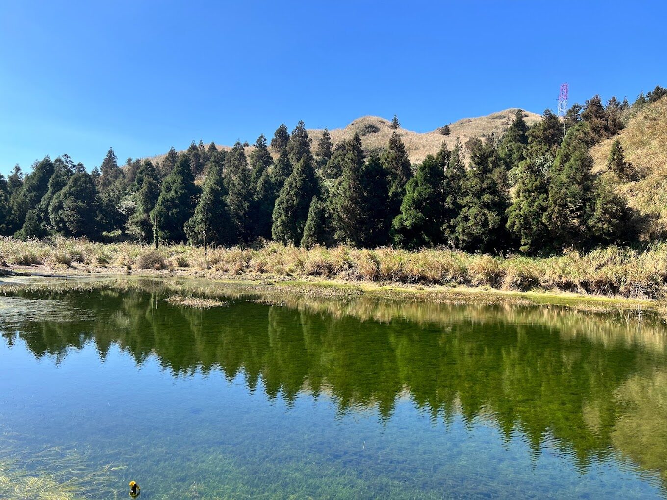 【2025】探索陽明山景點：絕不容錯過的5大自然奇觀