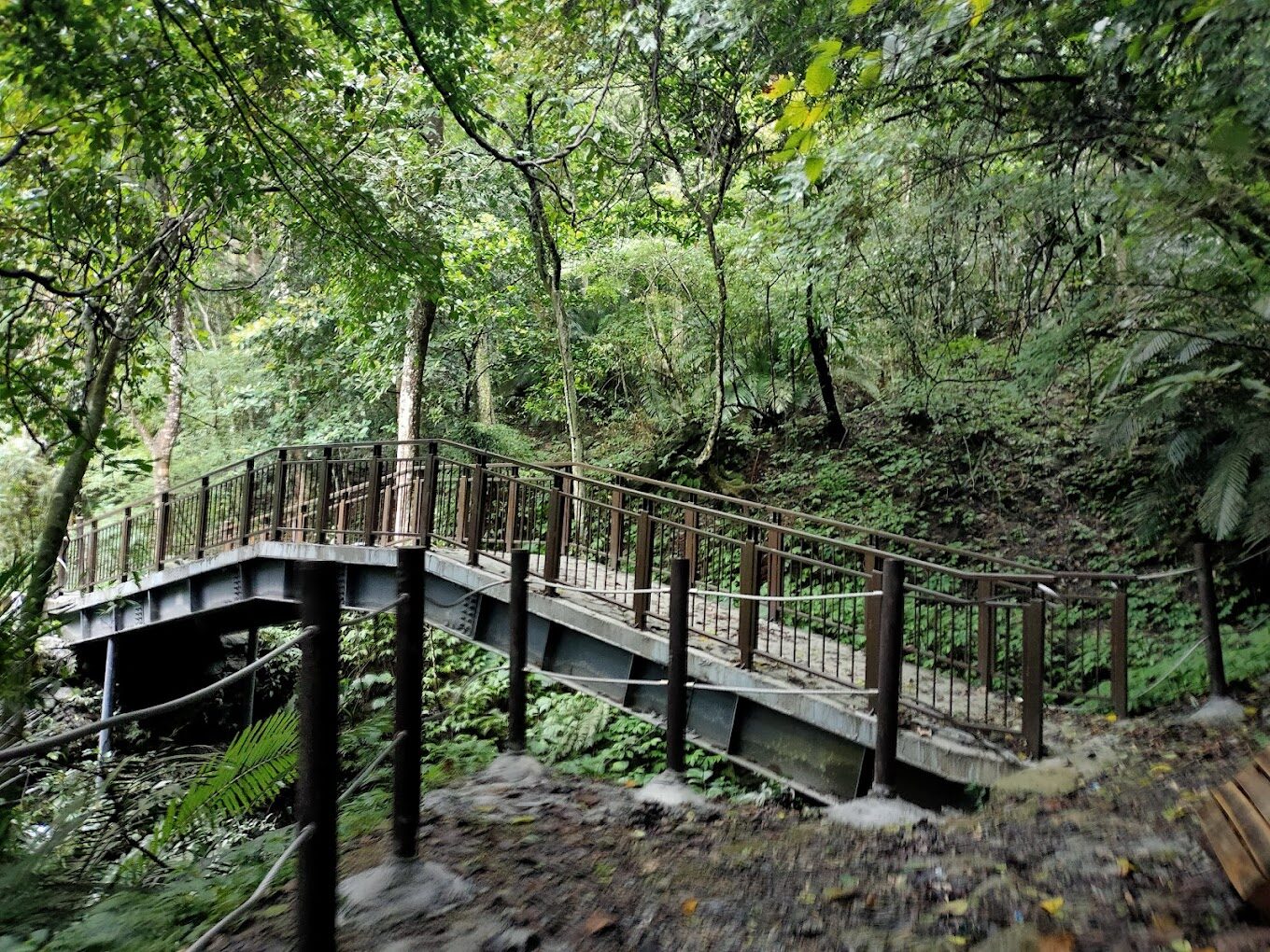 苗栗景點不再踩雷｜2025年必去的5大秘境推薦，讓你秒變旅遊達人