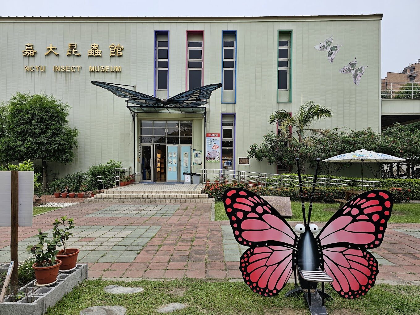 嘉義必去景點｜一次搞懂不再錯過這些隱藏秘境