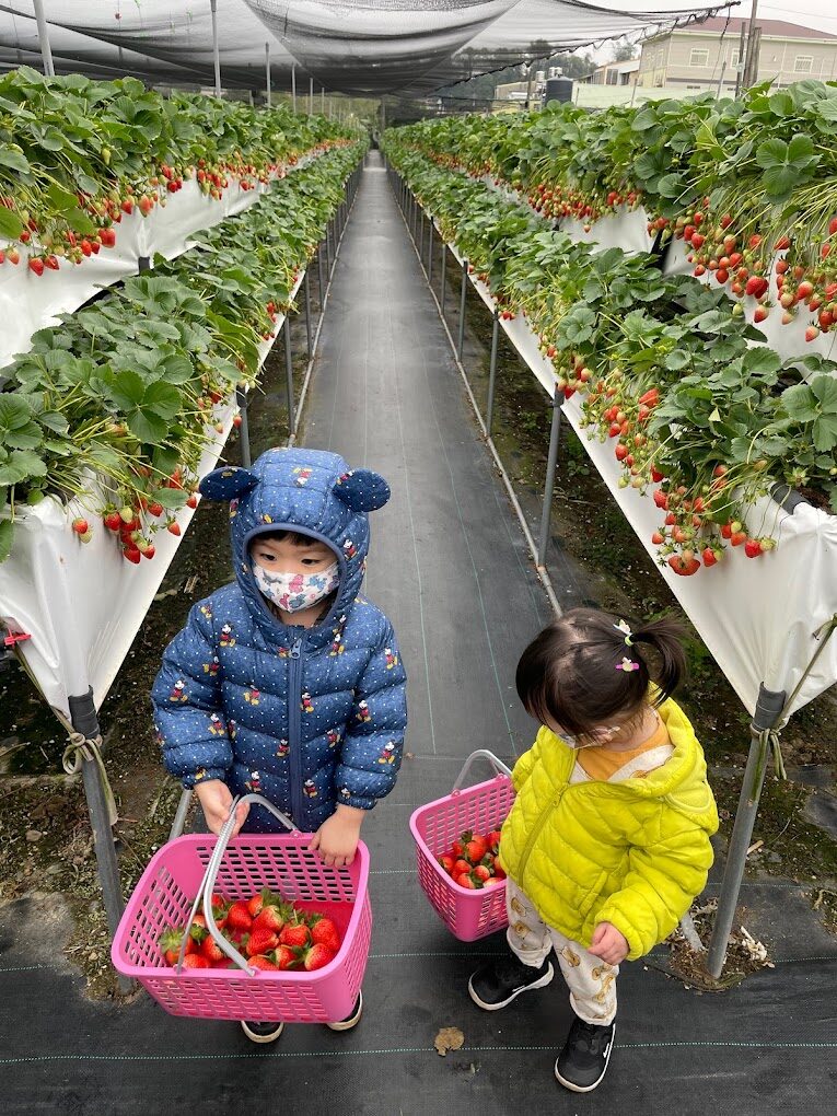 2025苗栗景點攻略｜避開遊客潮的必訪之地