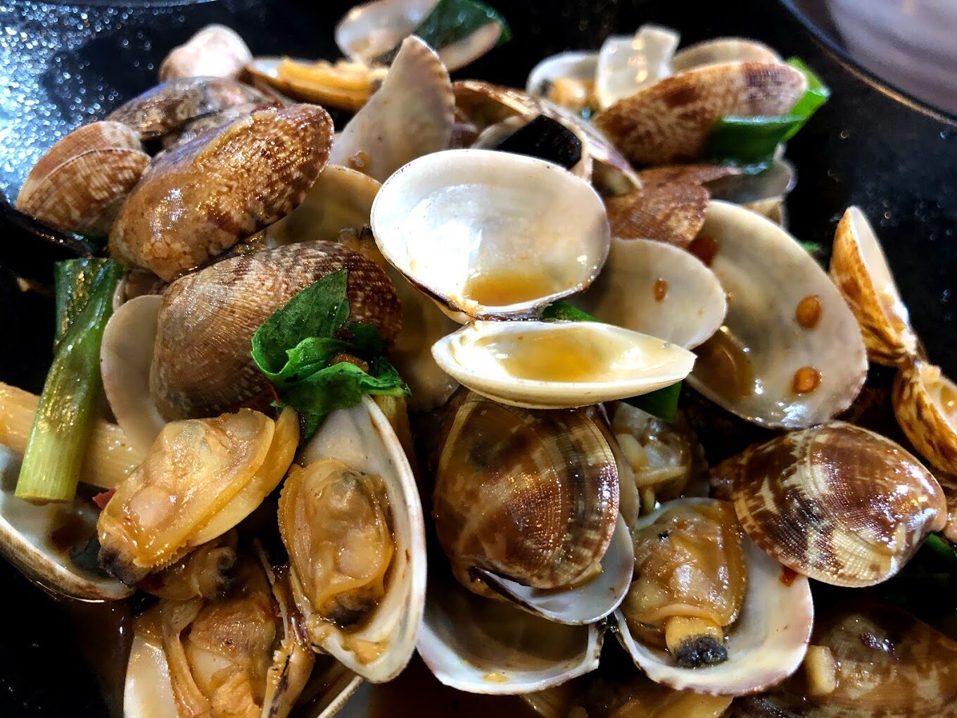 宜蘭頭城景點：龜山島導覽 - 最佳觀光和賞鯨豚時機