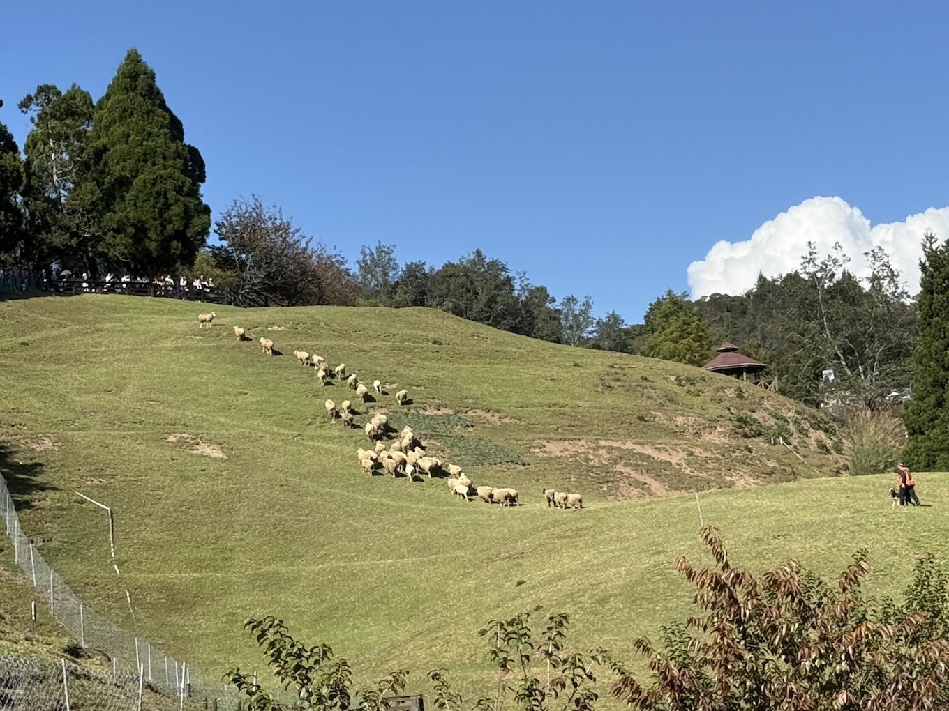 南投景點推薦|2025必去的5大秘境與美食指南