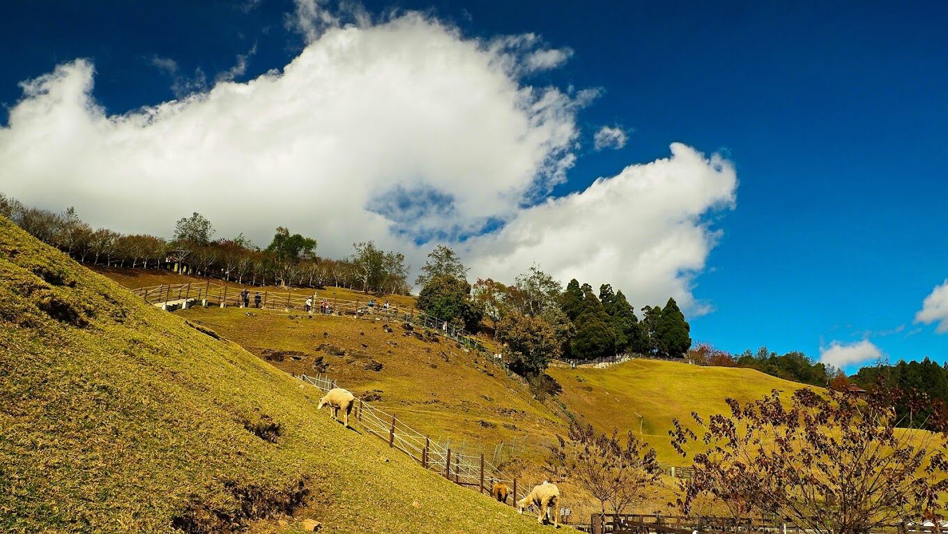 南投景點推薦|2025必去的5大秘境與美食指南