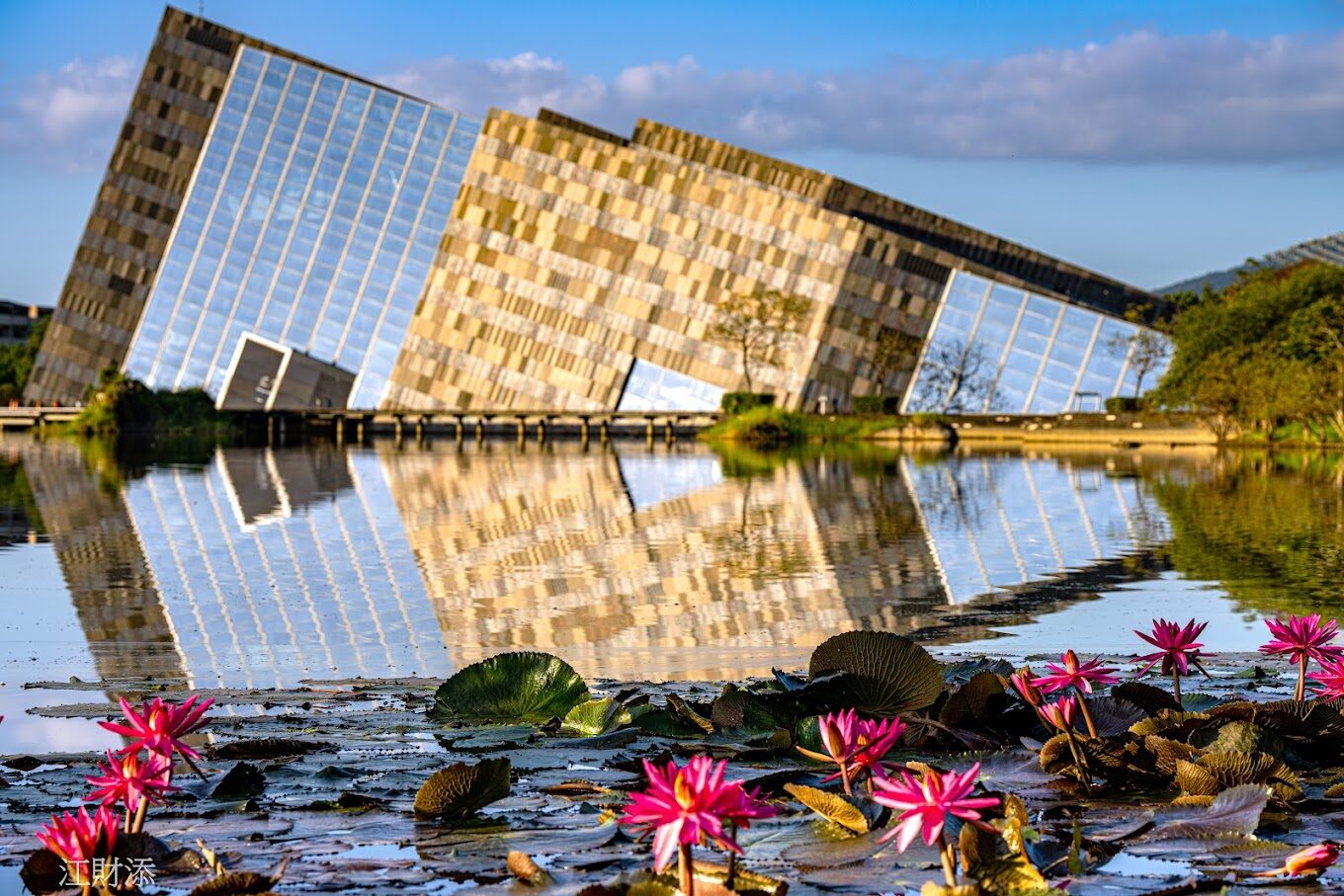 宜蘭頭城景點：龜山島導覽 - 最佳觀光和賞鯨豚時機