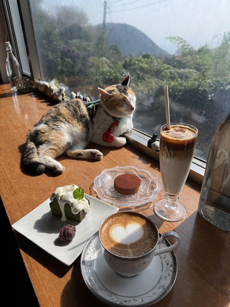 陽明山餐廳最新評價｜2025年你不可錯過的美食景點