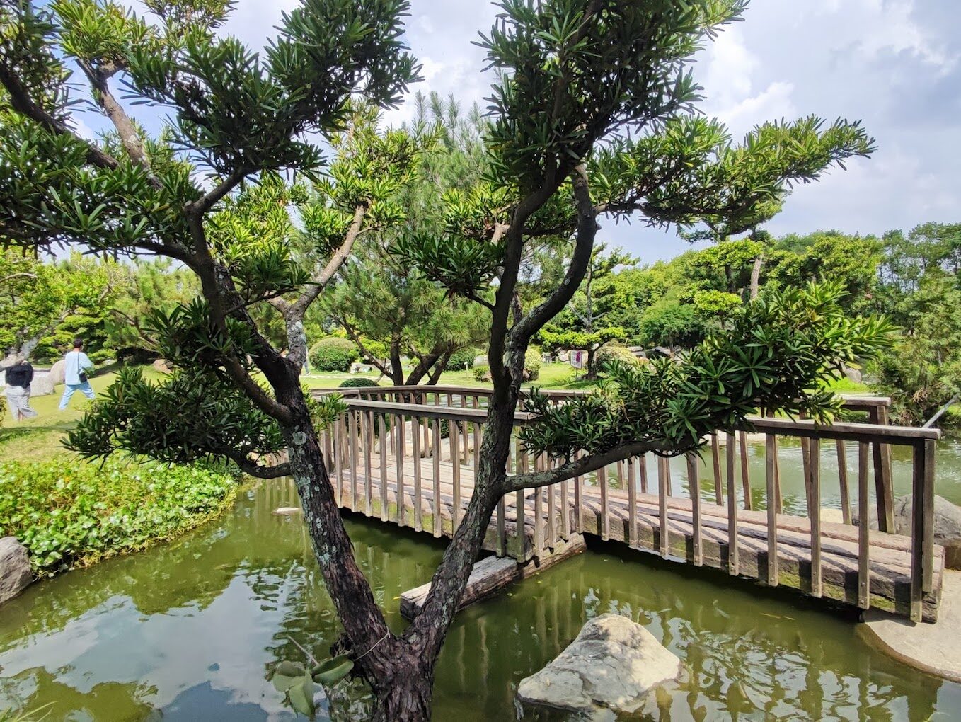 雲林景點必遊清單｜你不能錯過的隱藏版景點