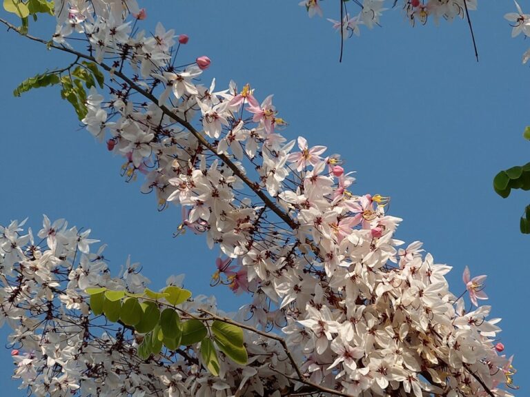 雲林景點必遊清單｜5個你不能錯過的隱藏版景點