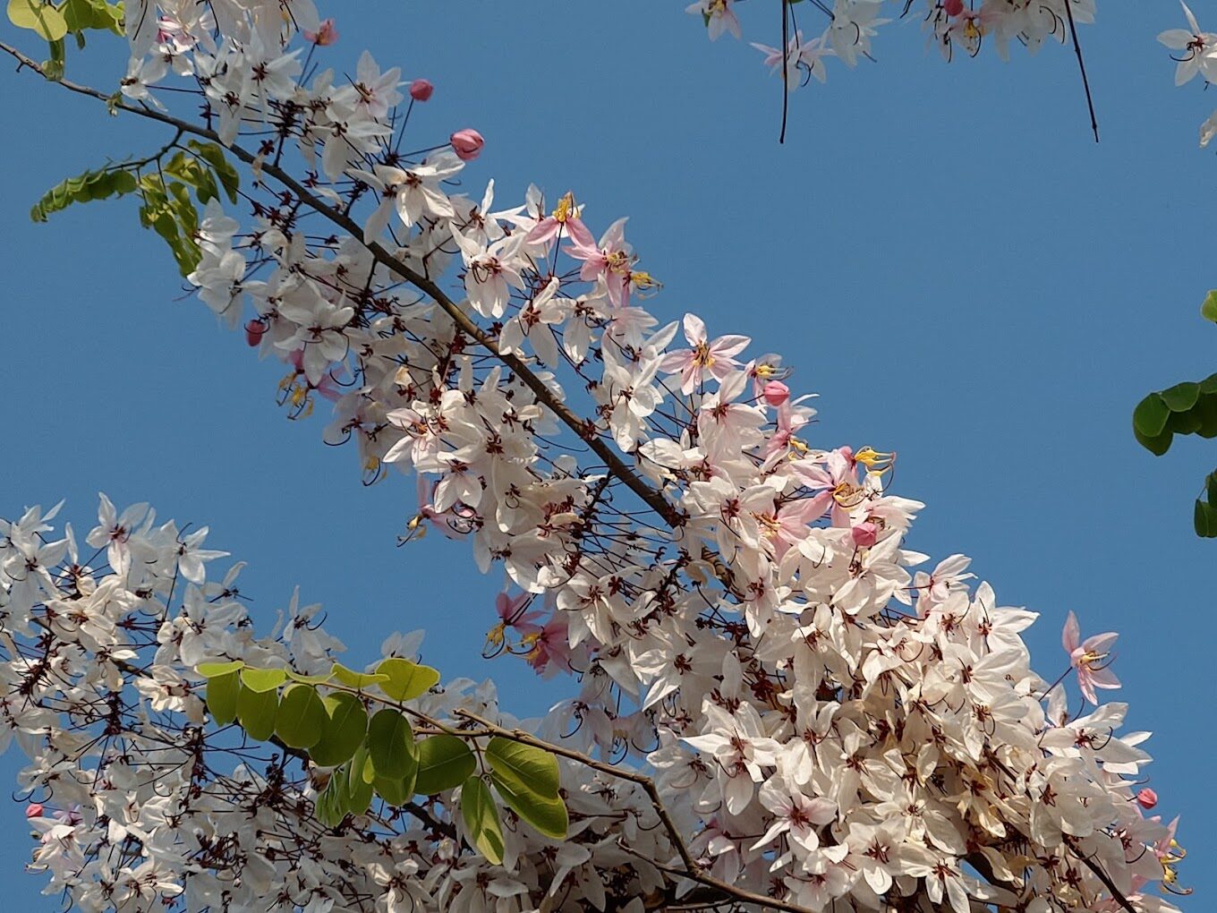 雲林景點必遊清單｜5個你不能錯過的隱藏版景點