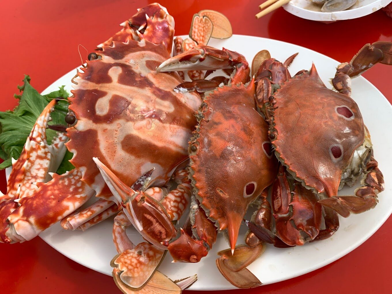 2025】探索金山美食｜不得不品嘗的在地美食推薦