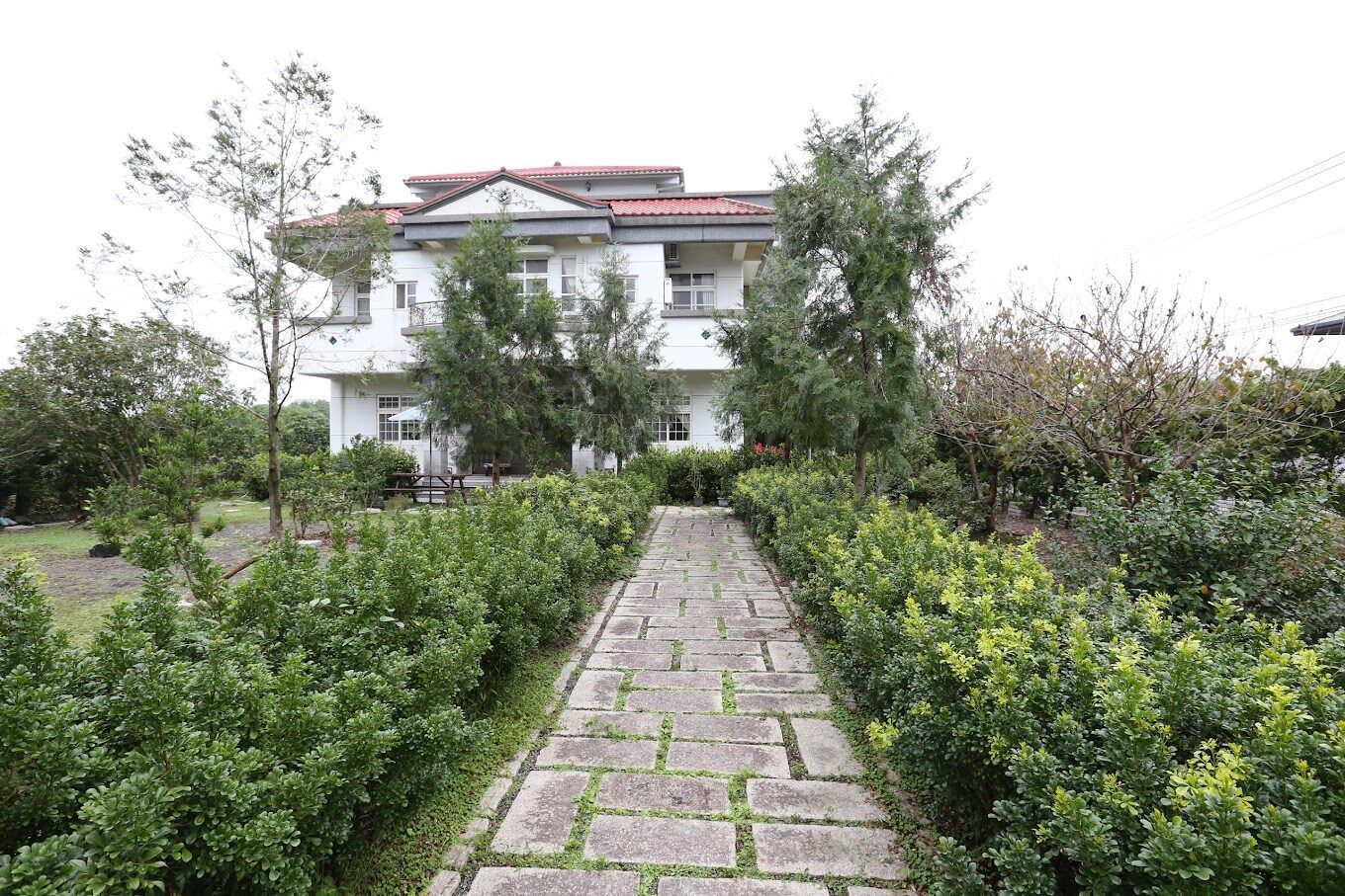 宜蘭頭城景點：龜山島導覽 - 最佳觀光和賞鯨豚時機