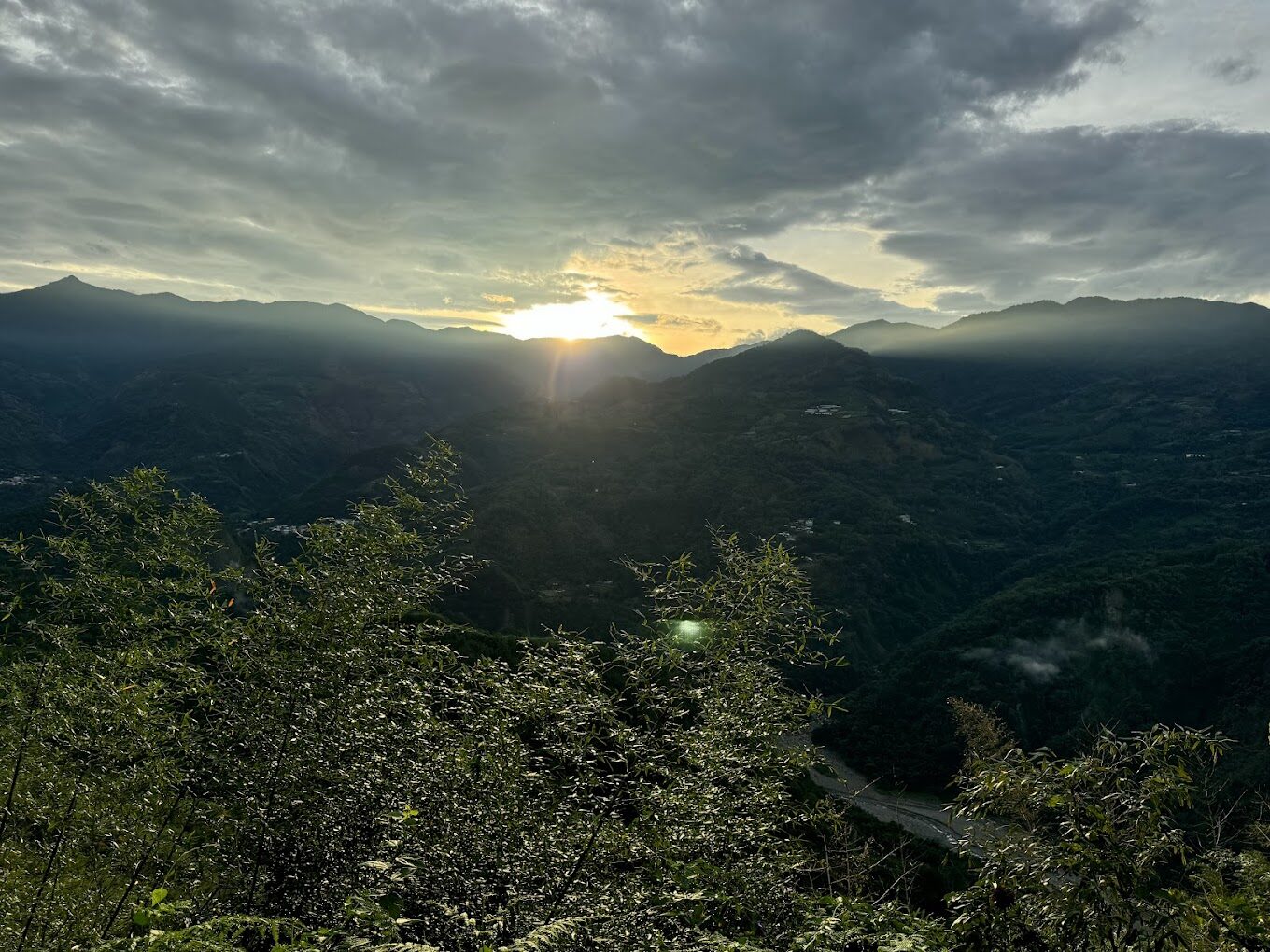 阿里山必去景點：2025年最佳遊覽路線及必訪秘境