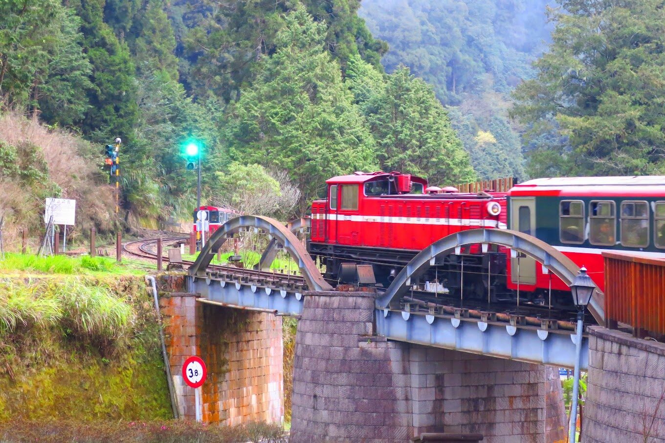 2025】阿里山小火車必乘之旅:你絕對不能錯過的5大理由