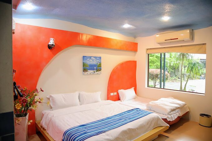 宜蘭頭城景點：龜山島導覽 - 最佳觀光和賞鯨豚時機