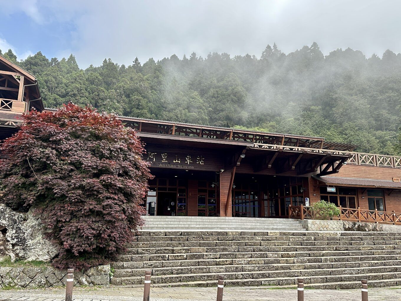 2025】阿里山小火車必乘之旅:你絕對不能錯過的5大理由