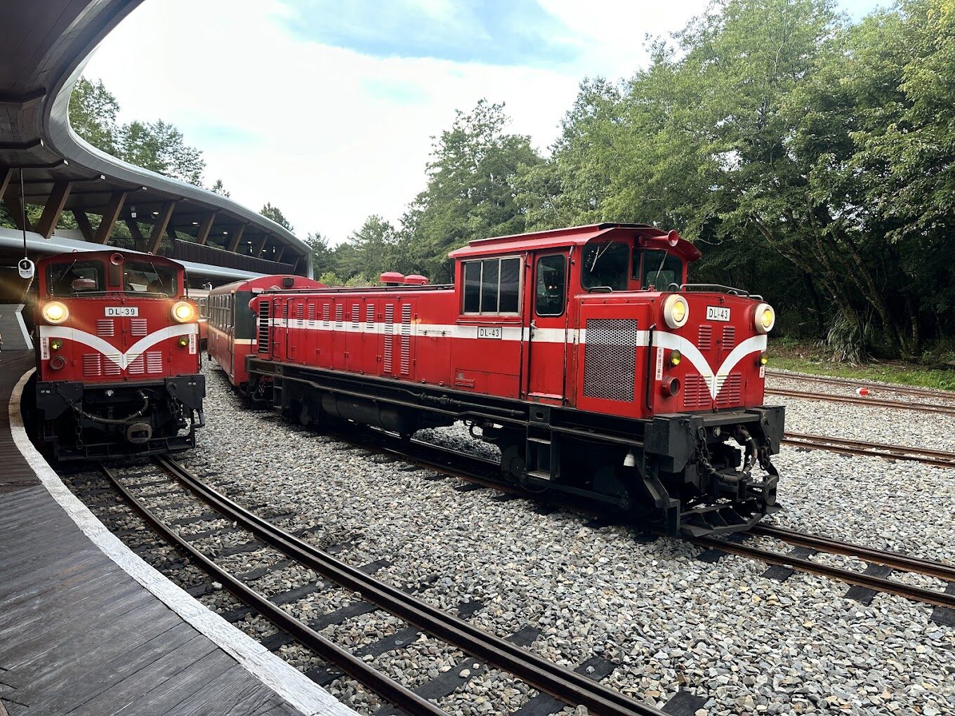 【2025】阿里山森林遊樂區必遊亮點｜你絕對不想錯過的景點