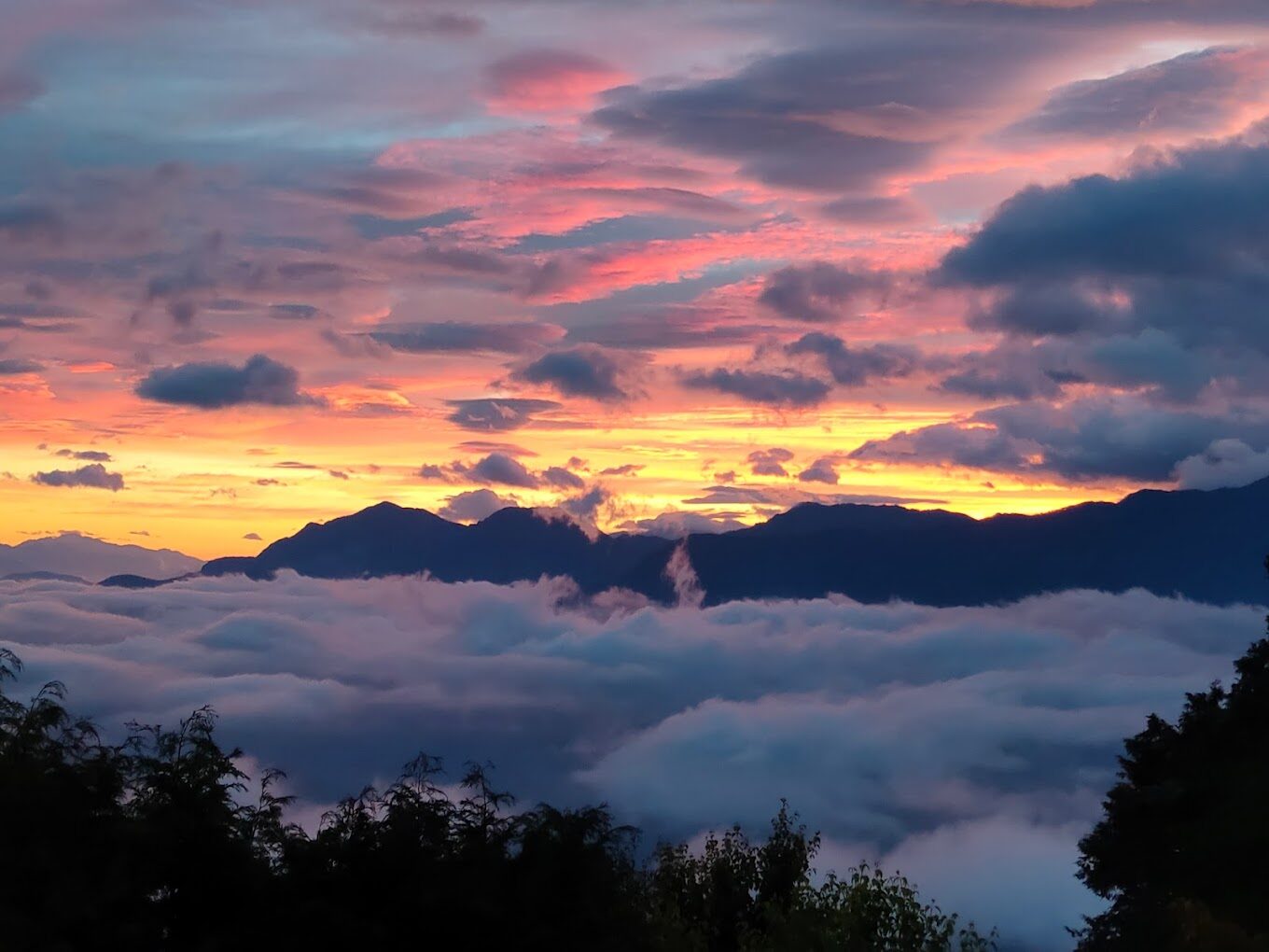 【2025】阿里山森林遊樂區必遊亮點｜你絕對不想錯過的景點