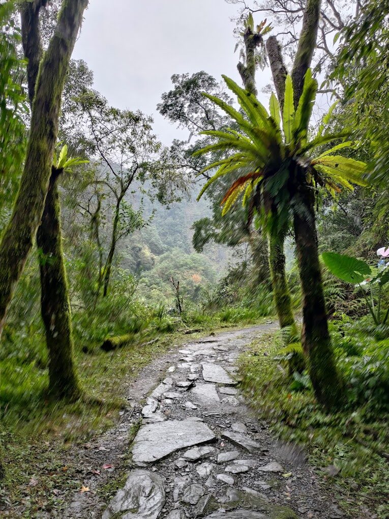 2025太平山莊最新旅遊攻略｜5個必訪景點及特色活動